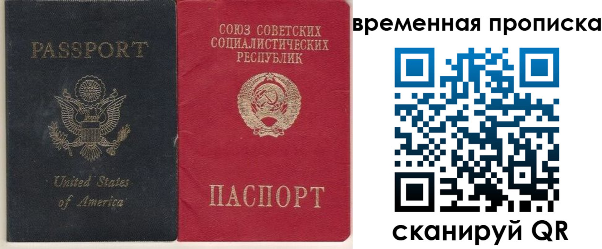 прописка для школы в Сертолово